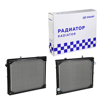 Радиатор WP10/WP12 SHAANXI (980x750x80) D=60 D=60 с пластиковыми бачками (AST1177/DZ95259532213) AST Smart